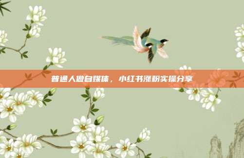 普通人做自媒体，小红书涨粉实操分享