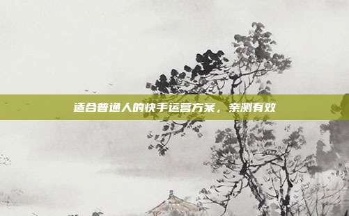 适合普通人的快手运营方案，亲测有效