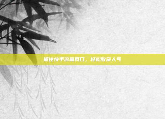 抓住快手流量风口，轻松收获人气