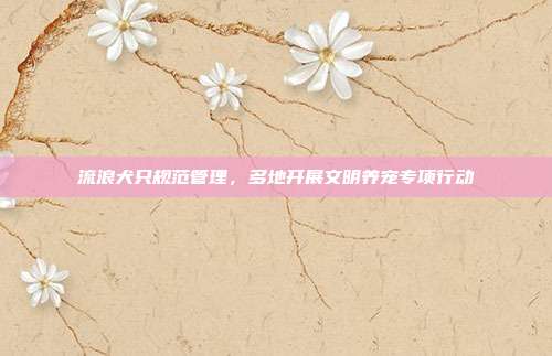 流浪犬只规范管理，多地开展文明养宠专项行动