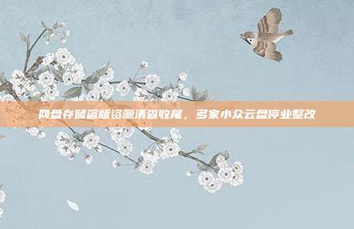 网盘存储盗版资源清查收尾，多家小众云盘停业整改
