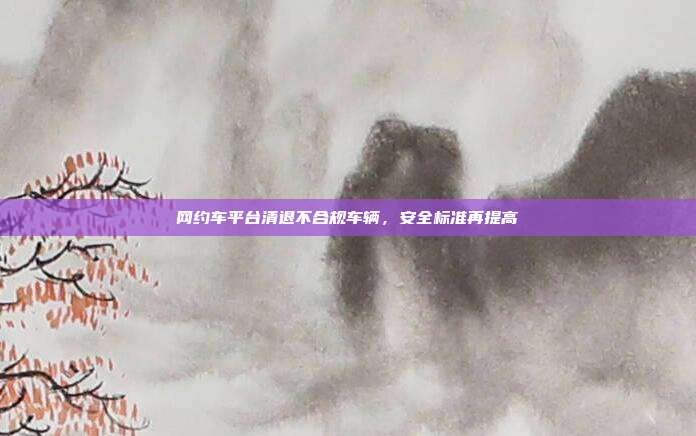 网约车平台清退不合规车辆，安全标准再提高