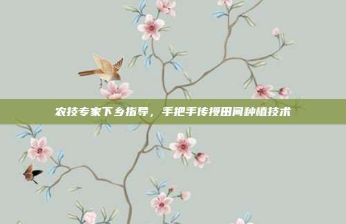 农技专家下乡指导，手把手传授田间种植技术