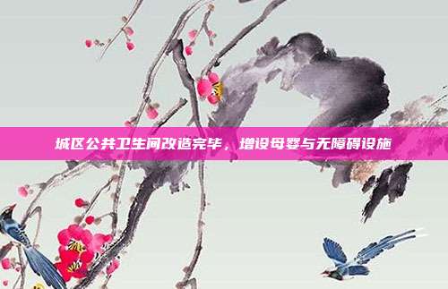 城区公共卫生间改造完毕，增设母婴与无障碍设施