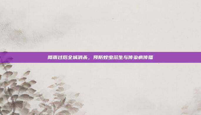 降雨过后全城消杀，预防蚊虫滋生与传染病传播