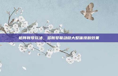 矩阵账号玩法，多账号联动放大整体涨粉效果