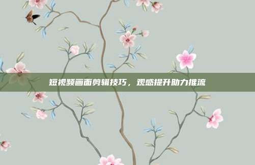 短视频画面剪辑技巧，观感提升助力推流