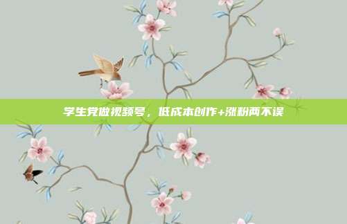 学生党做视频号，低成本创作+涨粉两不误