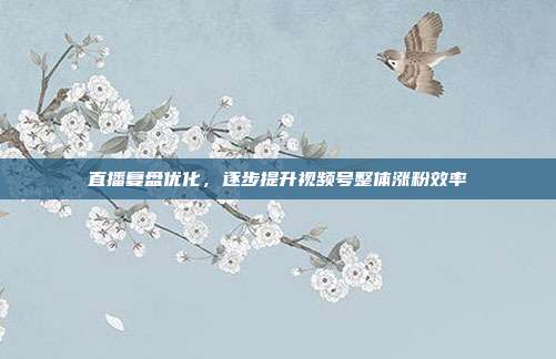 直播复盘优化，逐步提升视频号整体涨粉效率