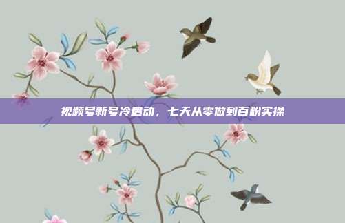 视频号新号冷启动，七天从零做到百粉实操