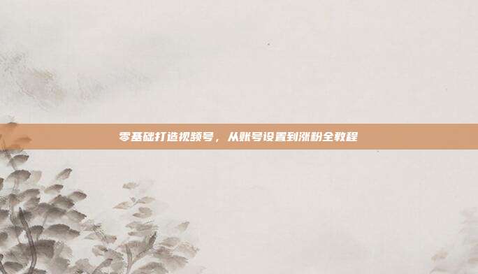 零基础打造视频号，从账号设置到涨粉全教程