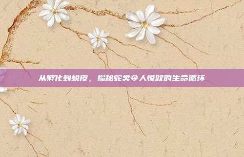 从孵化到蜕皮，揭秘蛇类令人惊叹的生命循环