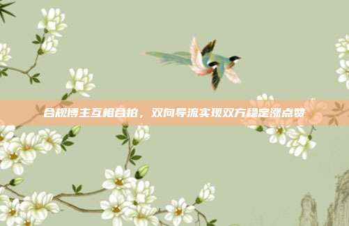 合规博主互相合拍，双向导流实现双方稳定涨点赞