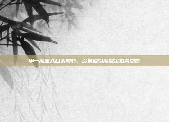 单一流量入口太薄弱，多渠道引流稳定拉高点赞