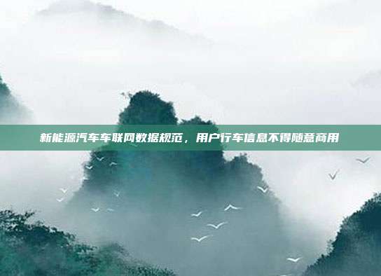 新能源汽车车联网数据规范，用户行车信息不得随意商用