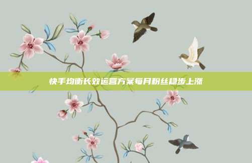 快手均衡长效运营方案每月粉丝稳步上涨