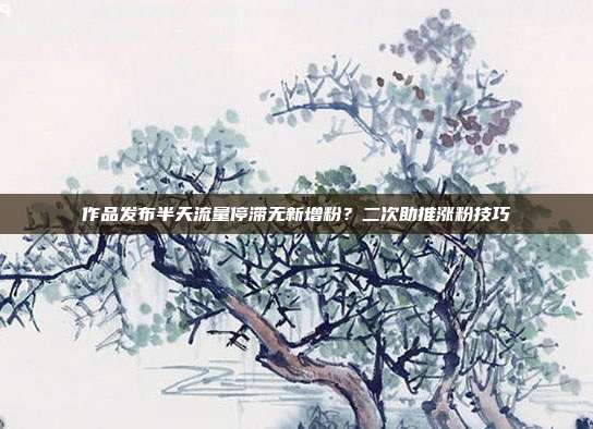 作品发布半天流量停滞无新增粉？二次助推涨粉技巧