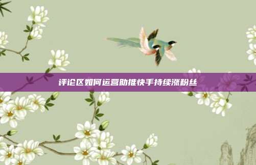 评论区如何运营助推快手持续涨粉丝