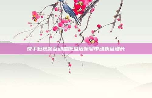 快手短视频互动量低盘活账号带动粉丝增长