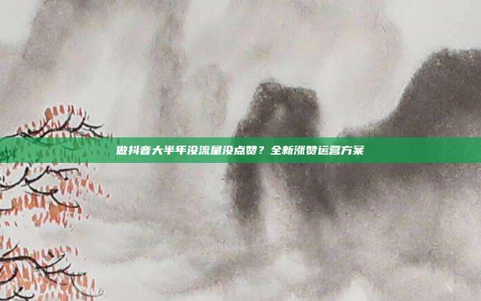 做抖音大半年没流量没点赞？全新涨赞运营方案