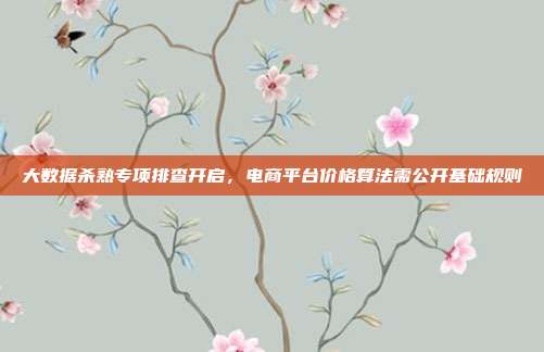 大数据杀熟专项排查开启，电商平台价格算法需公开基础规则