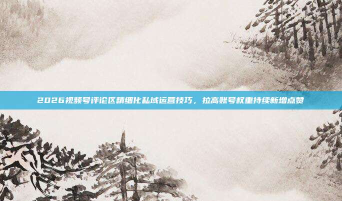 2026视频号评论区精细化私域运营技巧，拉高账号权重持续新增点赞