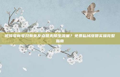 视频号新号只有亲友点赞无陌生流量？免费私域涨赞实操完整指南
