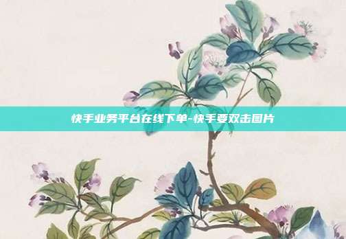 快手业务平台在线下单-快手要双击图片