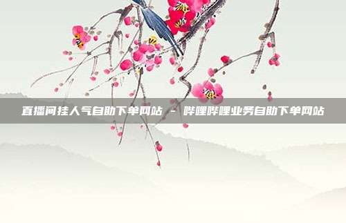 直播间挂人气自助下单网站 - 哔哩哔哩业务自助下单网站