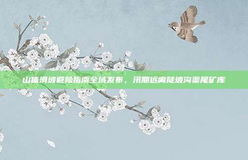 山体滑坡避险指南全域发布，汛期远离陡坡沟渠尾矿库