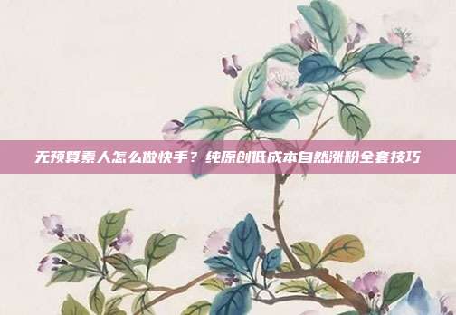 无预算素人怎么做快手？纯原创低成本自然涨粉全套技巧