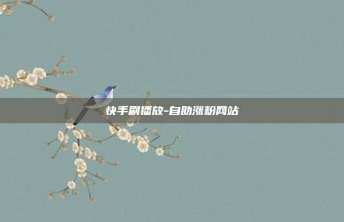 快手刷播放-自助涨粉网站