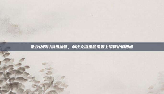 洗衣店预付消费监管，单次充值金额设置上限保护消费者