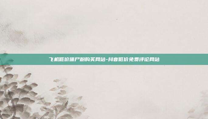 飞机低价僵尸粉购买网站-抖音低价免费评论网站