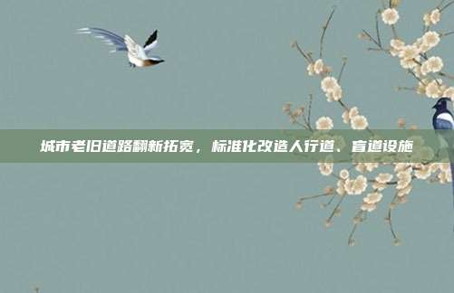城市老旧道路翻新拓宽，标准化改造人行道、盲道设施
