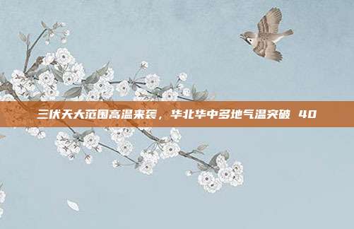 三伏天大范围高温来袭，华北华中多地气温突破 40℃