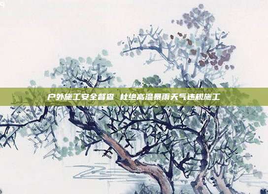户外施工安全督查 杜绝高温暴雨天气违规施工
