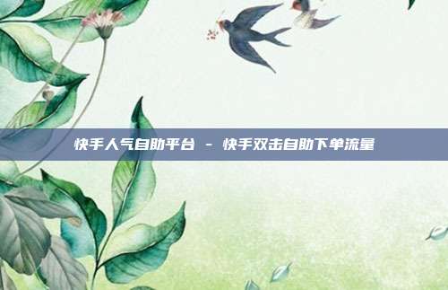 快手人气自助平台 - 快手双击自助下单流量