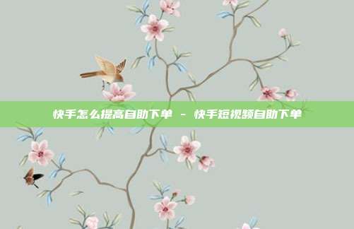 快手怎么提高自助下单 - 快手短视频自助下单