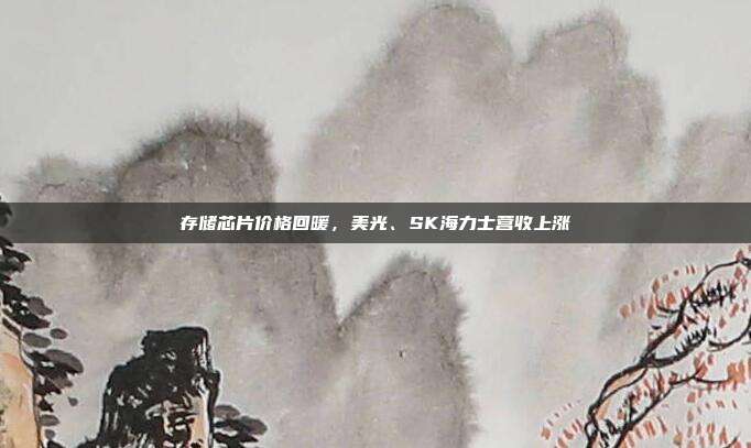 存储芯片价格回暖，美光、SK海力士营收上涨