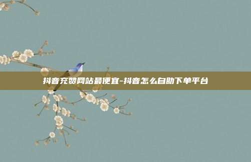 抖音充赞网站最便宜-抖音怎么自助下单平台