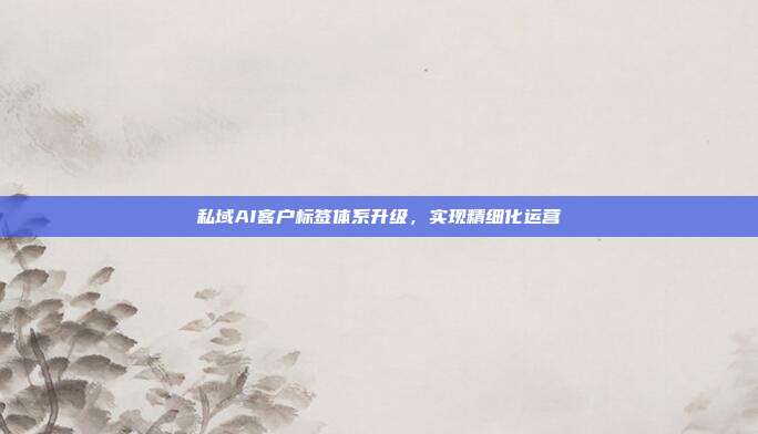 私域AI客户标签体系升级，实现精细化运营