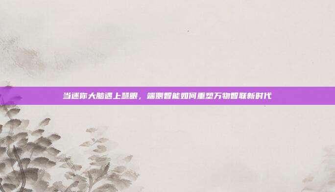 当迷你大脑遇上慧眼，端侧智能如何重塑万物智联新时代