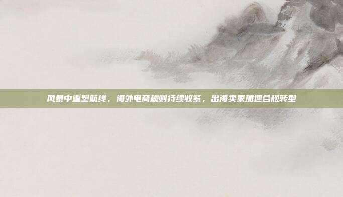 风暴中重塑航线，海外电商规则持续收紧，出海卖家加速合规转型