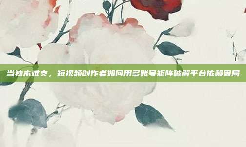 当独木难支，短视频创作者如何用多账号矩阵破解平台依赖困局
