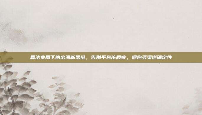 算法变局下的出海新思维，告别平台依赖症，拥抱多渠道确定性