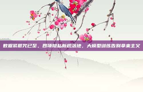数据紧箍咒已至，四项隐私新规落地，大模型训练告别拿来主义