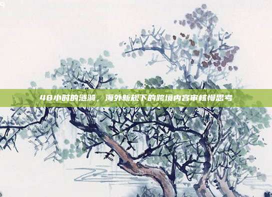 48小时的涟漪，海外新规下的跨境内容审核慢思考