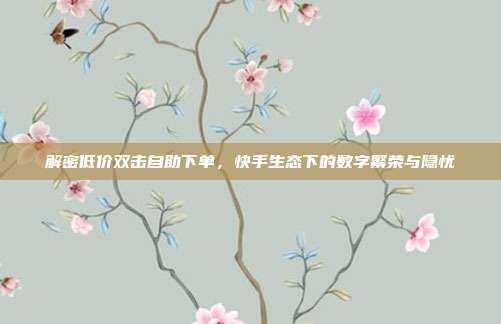 解密低价双击自助下单，快手生态下的数字繁荣与隐忧