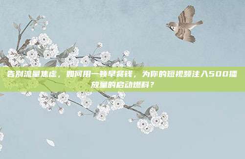 告别流量焦虑，如何用一顿早餐钱，为你的短视频注入500播放量的启动燃料？